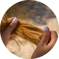 Cheveux <em>cassants </em>& <em>fragilisés</em>